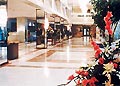 AEROSTAR HOTEL